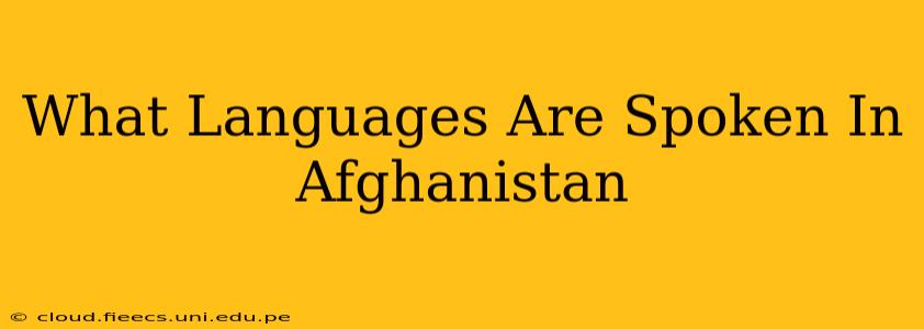What Languages Are Spoken In Afghanistan