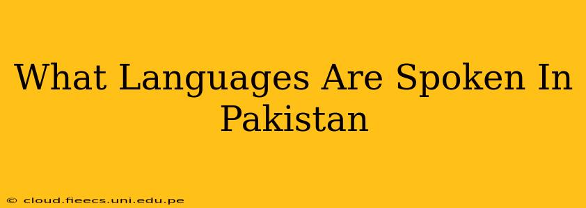 What Languages Are Spoken In Pakistan
