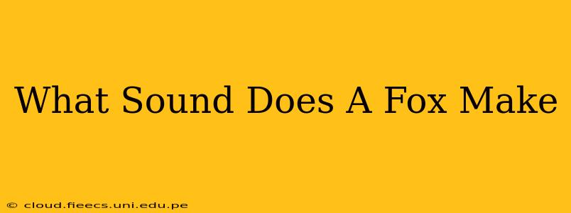 What Sound Does A Fox Make