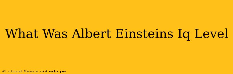 What Was Albert Einsteins Iq Level