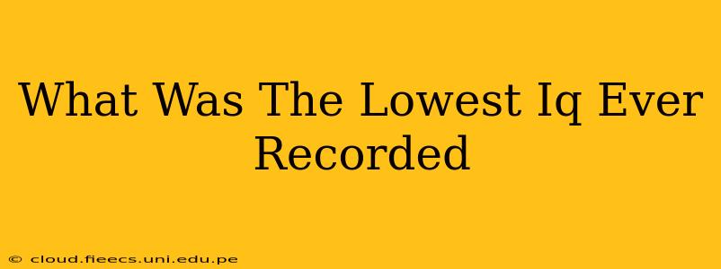What Was The Lowest Iq Ever Recorded