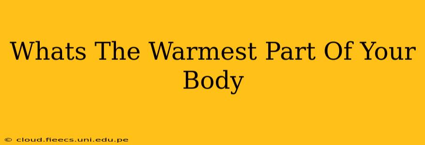 Whats The Warmest Part Of Your Body