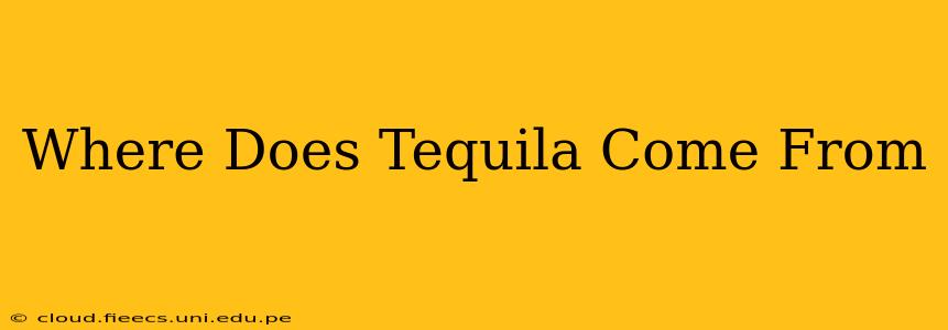 Where Does Tequila Come From