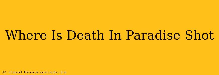 Where Is Death In Paradise Shot