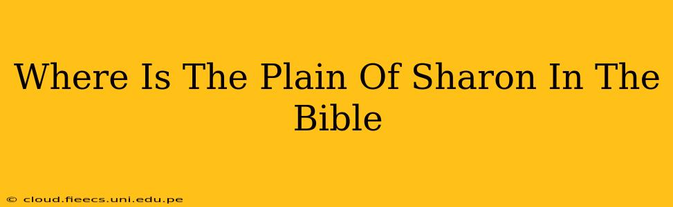 Where Is The Plain Of Sharon In The Bible