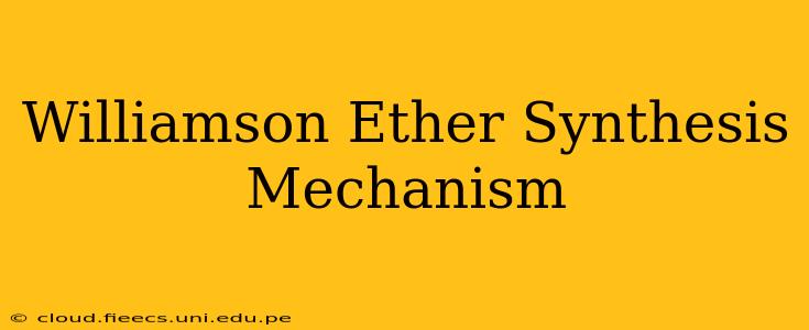 Williamson Ether Synthesis Mechanism
