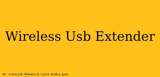 Wireless Usb Extender