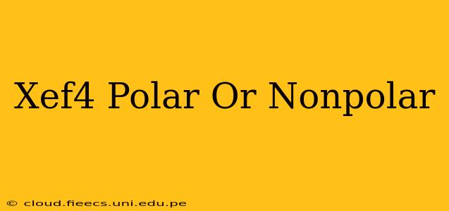 Xef4 Polar Or Nonpolar