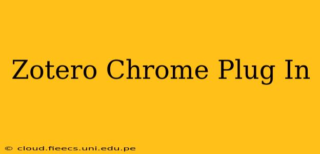 Zotero Chrome Plug In